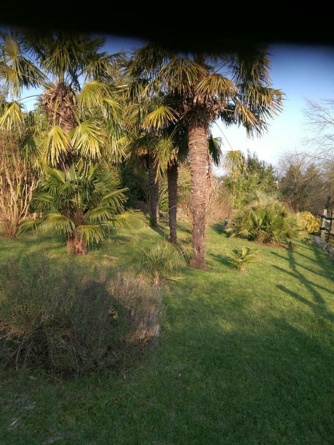 Le Coing Villa La Guiltiere Eksteriør billede